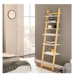Danderyd Ladder Bookcase