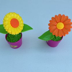 36 piece gardening kit for kids – science – Home, Classroom