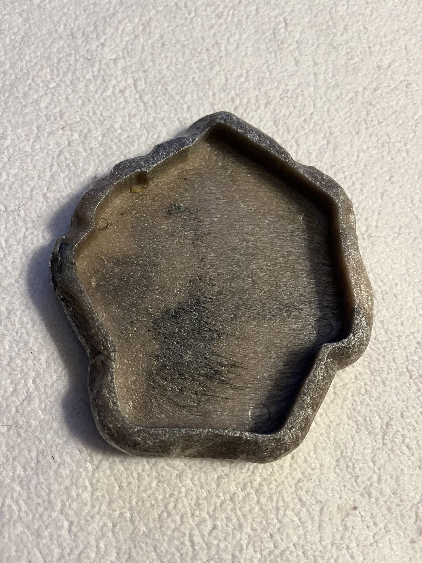 Zoo Med Repti Rock Reptile Food Dish Medium