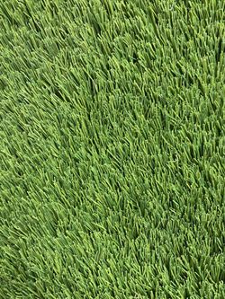 $1.00 - Turf