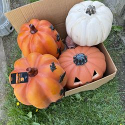 Box of pumpkins
