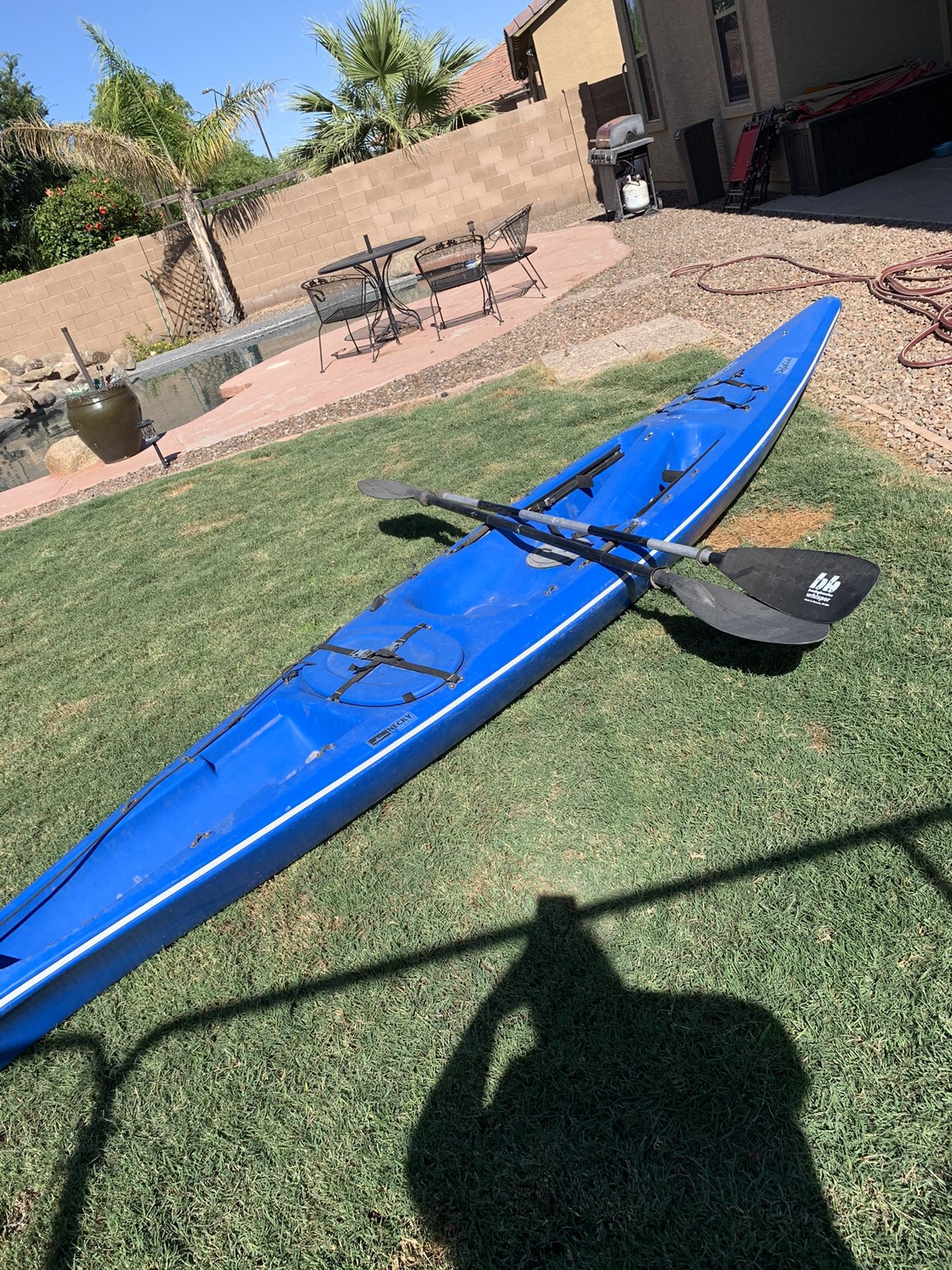 Necky Kayak/Dolphin for Sale in Waddell, AZ OfferUp