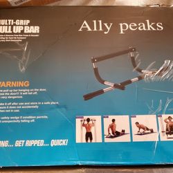Ally Peaks Pull Up Bar 