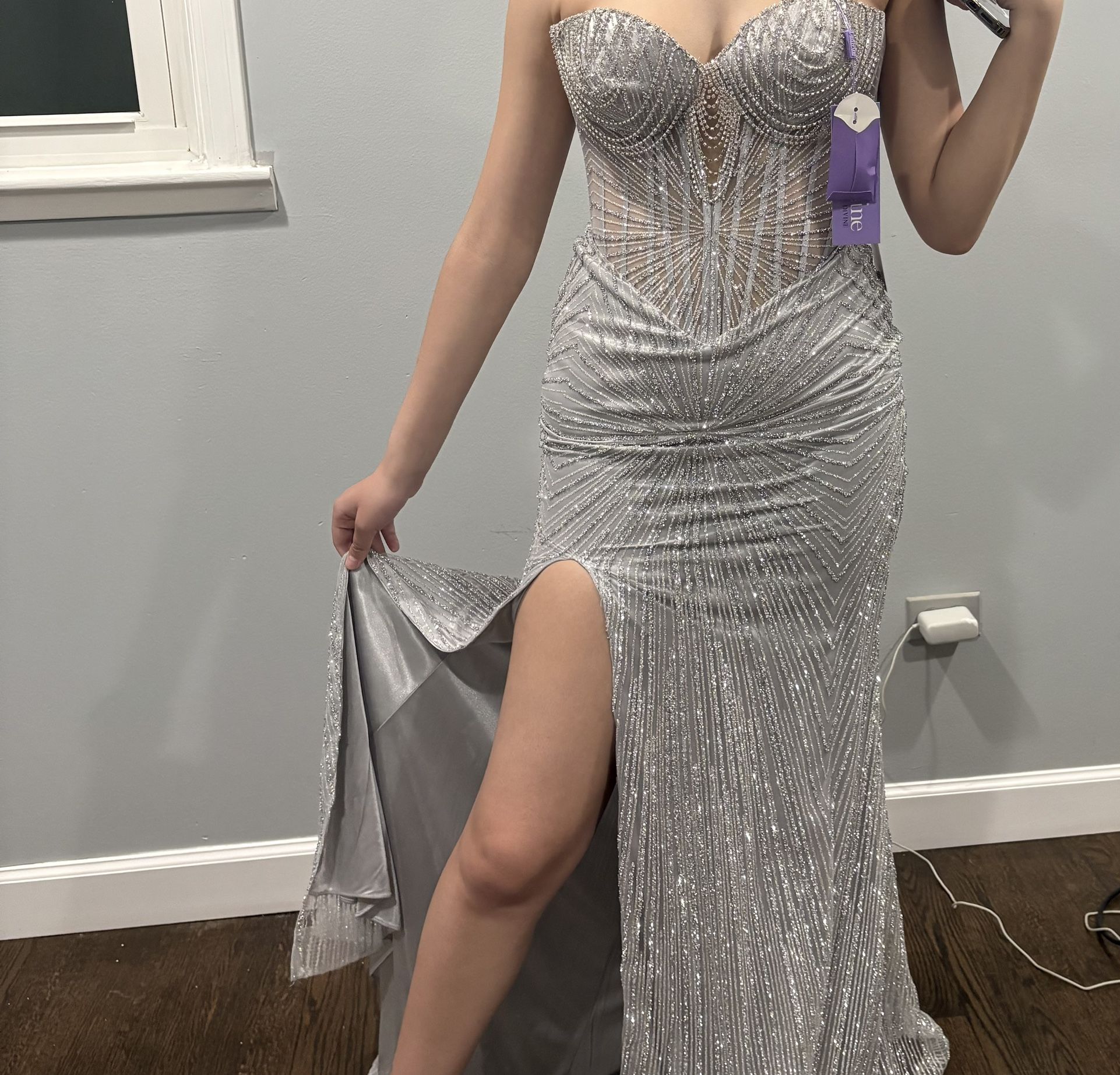 NEW Silver La Divine Gown