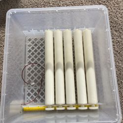 Egg Incubator 