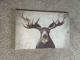 Large Canvas Moose Print