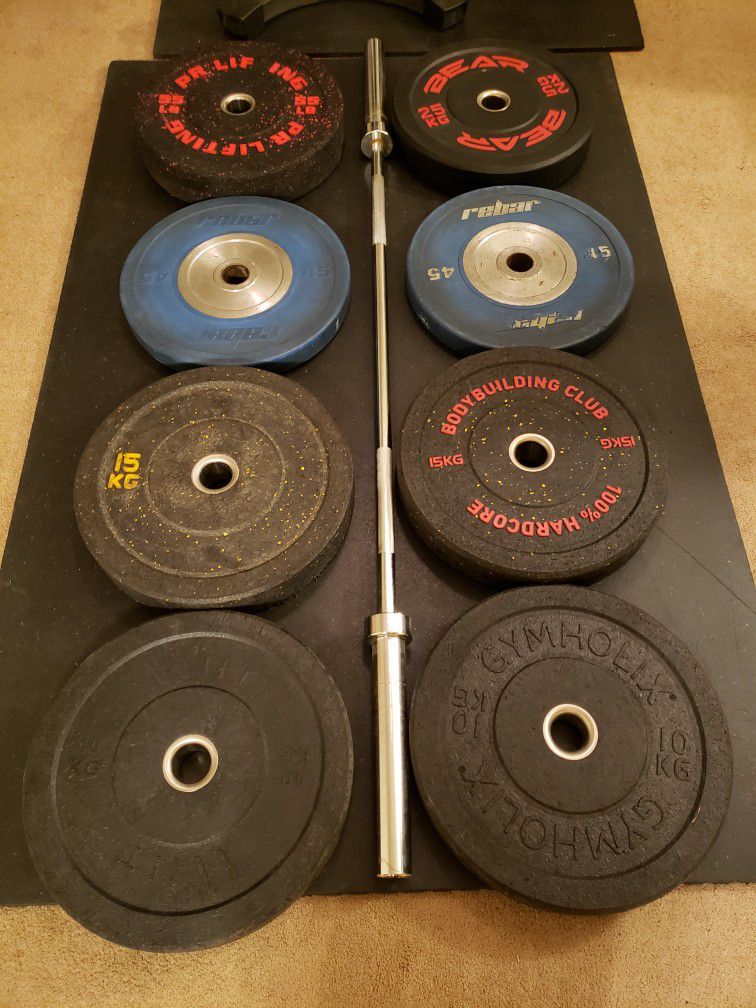 Pending Pick Up Bumper Weights Plates 310 Pounds