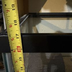 40 Gallon Tank 