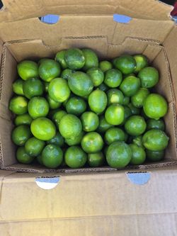 Persian Limes 40 Lb box