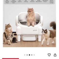Self Cleaning Litter Box 