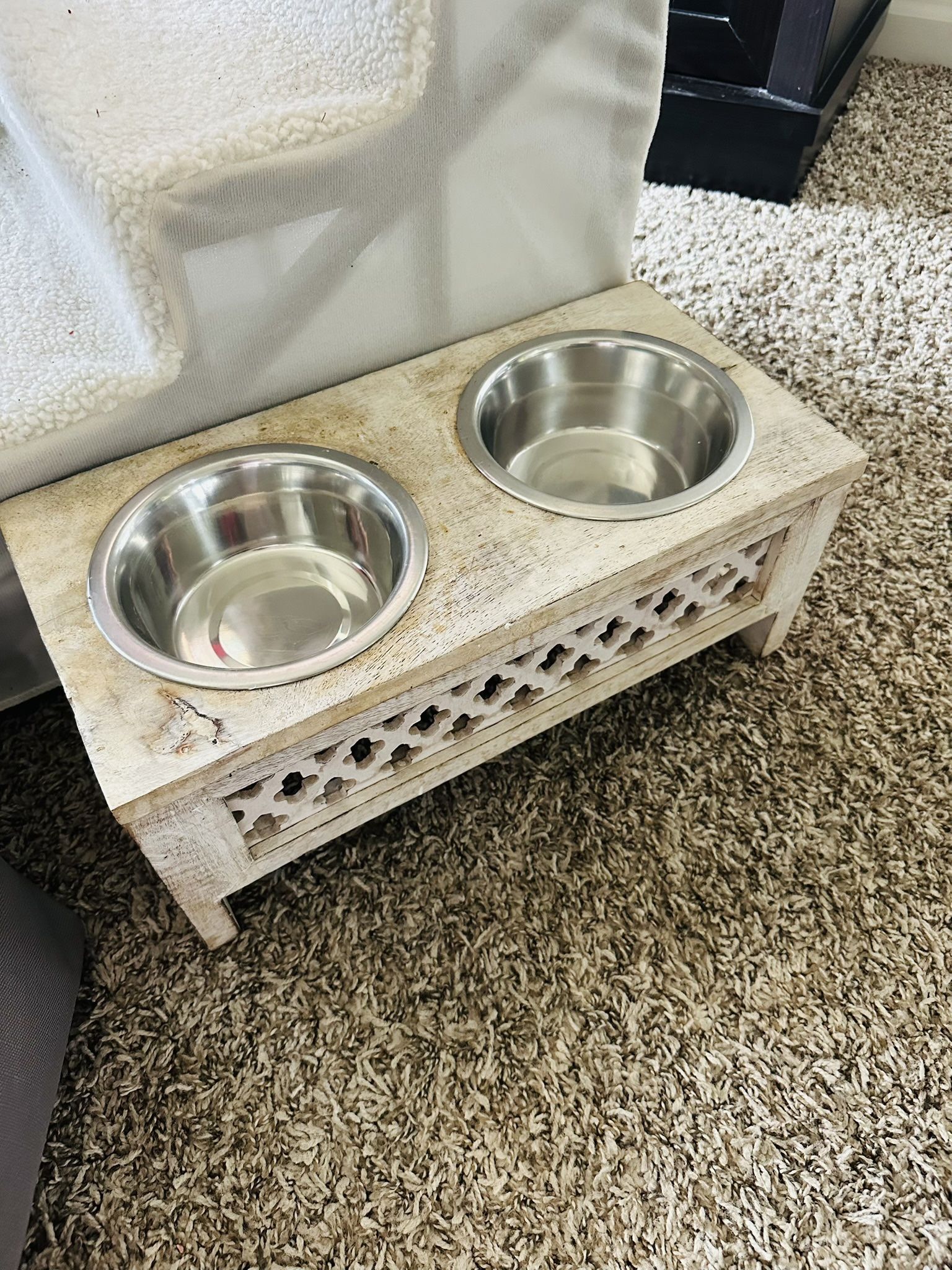 ELEVATED DOG DOUBLE DISH