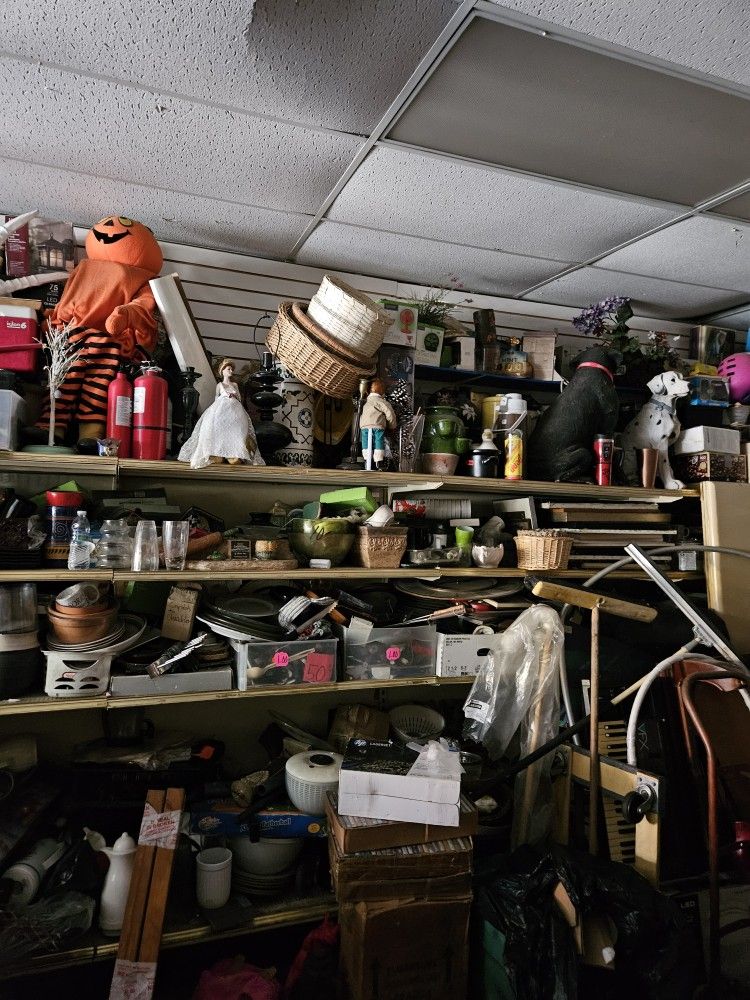 Thrift Store Goin Out Of Business Everything Must Go