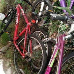 Bikes