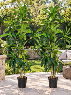 2 new artificial plants 2x$180