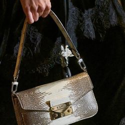 Louis Vuitton Exotics Hand Bag