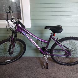 26 Inch Purple Women's Schwinn Bicycle 