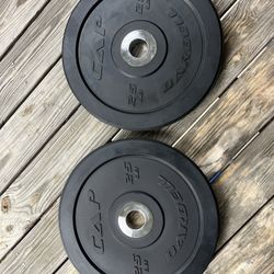 Two 25 lb Rubber/Bumper Plates (Olympic)