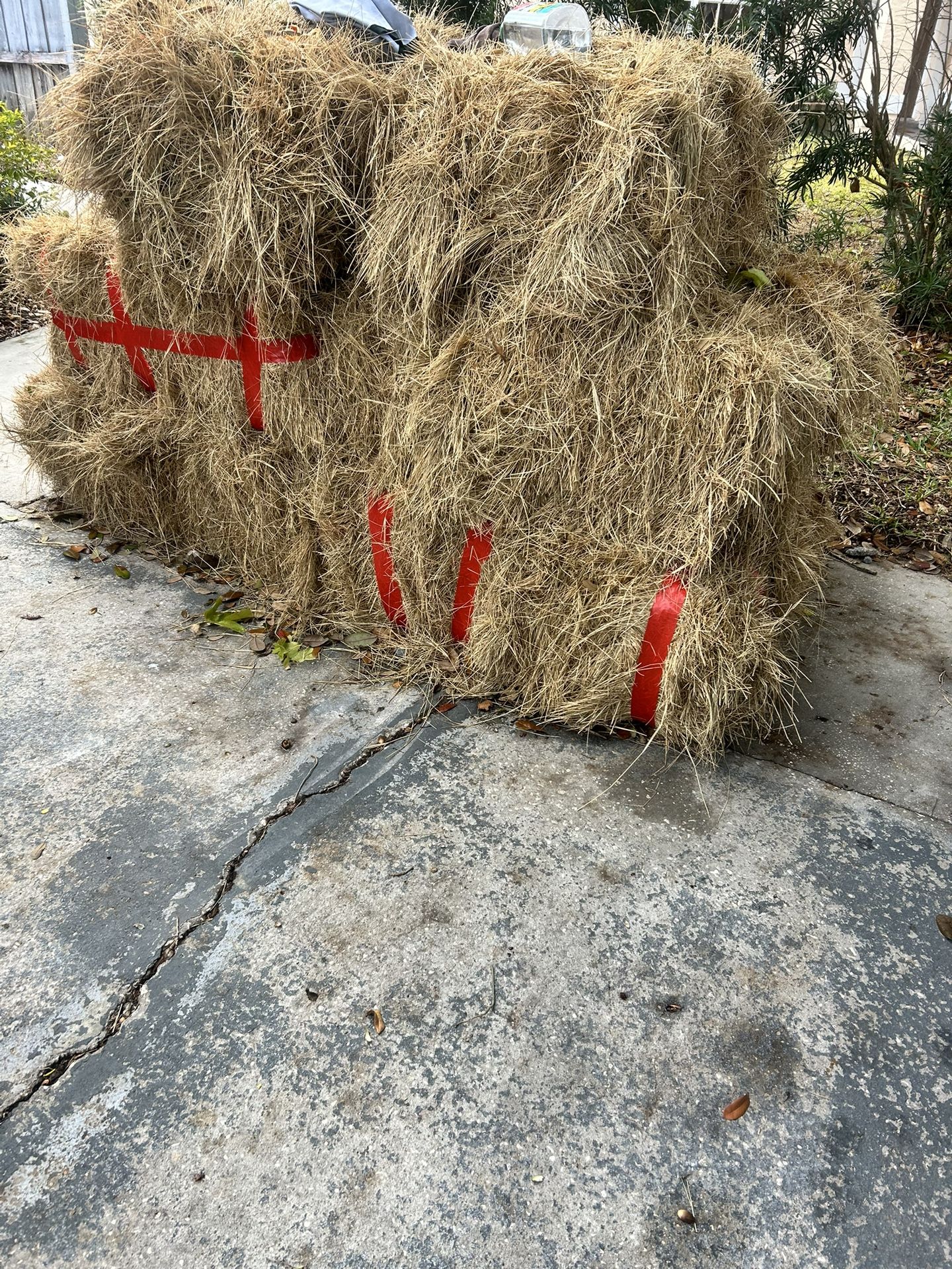 Free Hay.