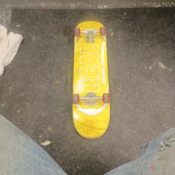 REAL SKATEBOARD / THUNDER TRUCKS  / OJ WHEELS
