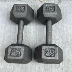25 Lb Dumbbells 