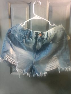 New celebrity pink shorts sz 13