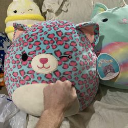 Chelsea Squishmallow