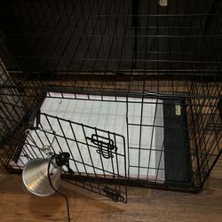 dog kennel with heat lamp 