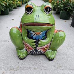 Talavera 🐸 Frog Clay Pots (Planters) Plants
