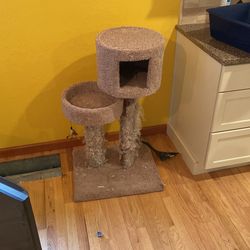 Cat House 