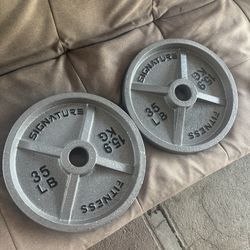 35lb Olympic Weight Plates Pair Set