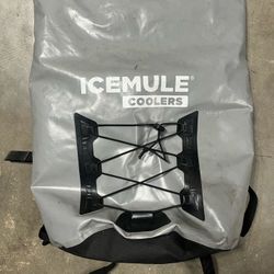 Cool Backpack ICEMULE