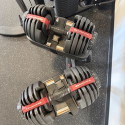 BOWFLEX SELECTTECH 552 ADJUSTABLE DUMBBELLS + STAND