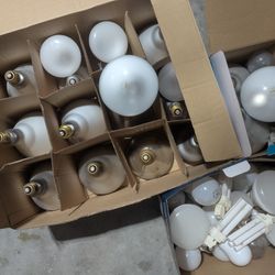 Lot Of Light Bulbs