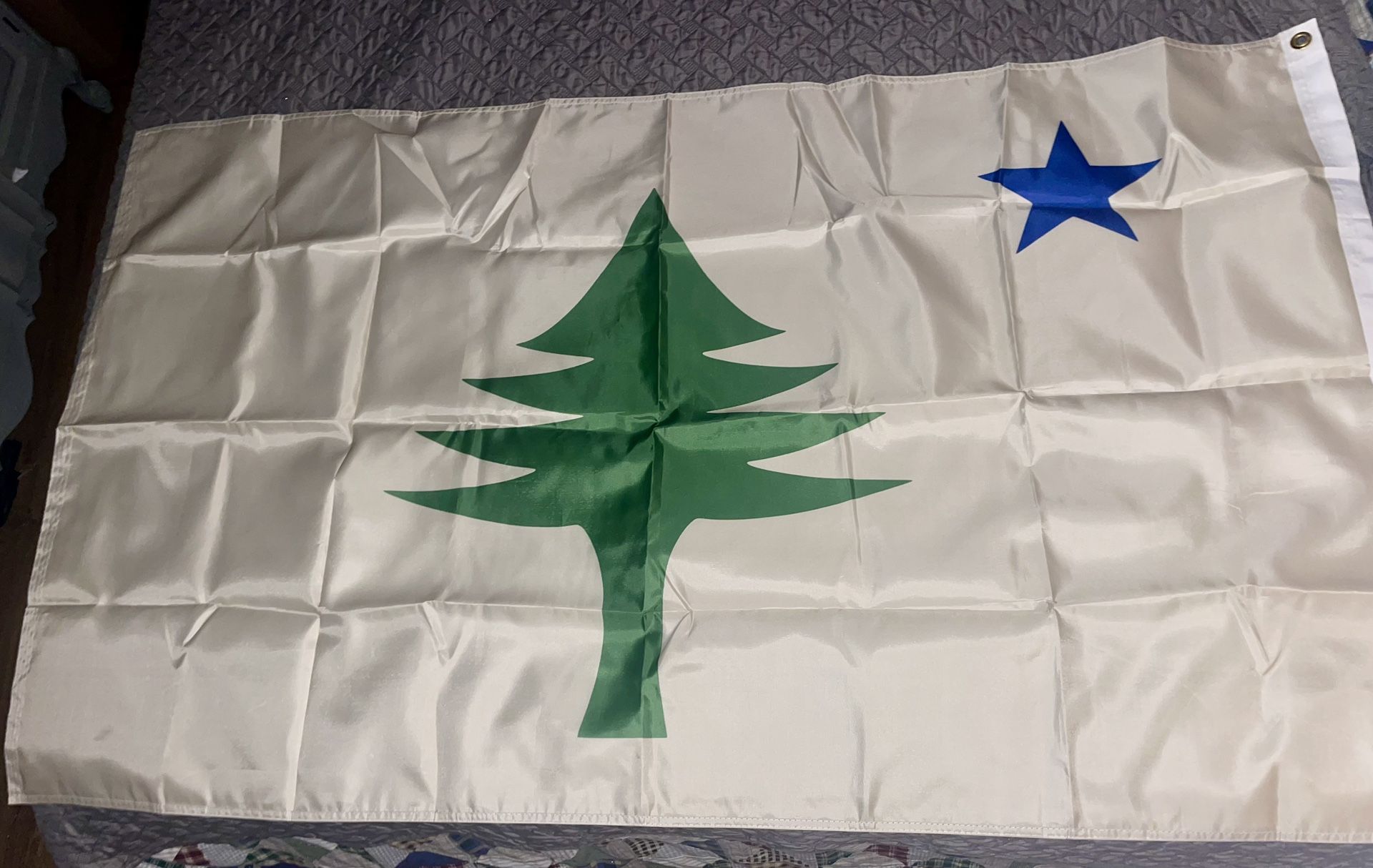 Maine State Flag