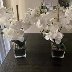 Planta Artificial $20 For Both Need Gone By Today Please 
