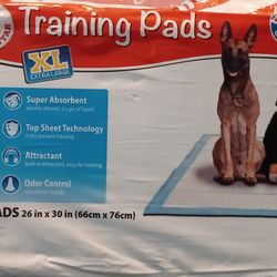 XL PET Training Pads ~75 Ct