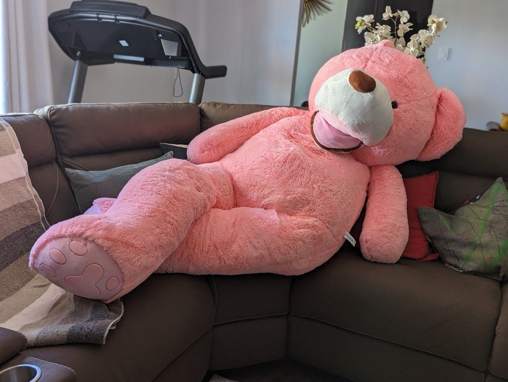 Ikasa Big Teddy Bear 