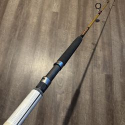New Salt Water Spinning Fishing Rod. 