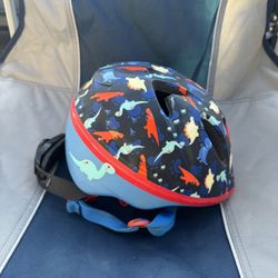 Dinosaur Helmet 