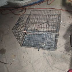 Wire Dog Crate