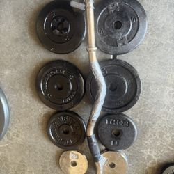 Weights Curl Bar