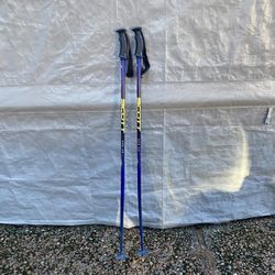 Ski Poles - 121cm
