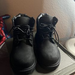 Timberland Brand New Shoes Toddler 