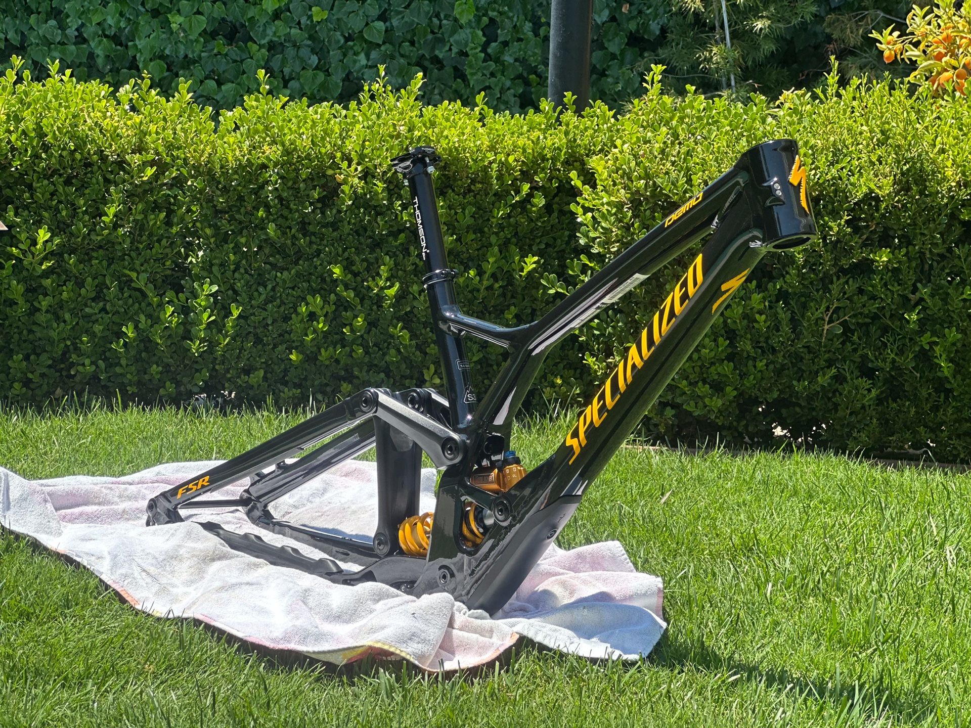 BRAND NEW 2020 SPECIALIZED DEMO 29 RACE FRAME size S3