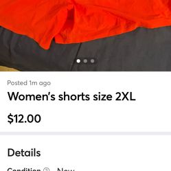 Women’s Shorts Size 2XL