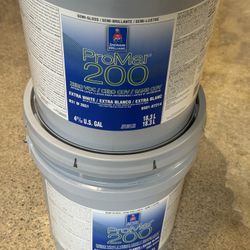 Sherwin Williams Extra White Paint New 