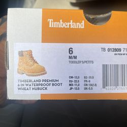 Brand New In The Box Toddler Timberlands 