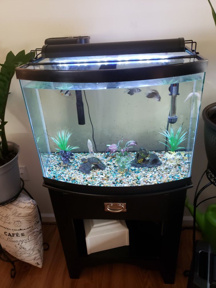 29 Gallon Fish Tank
