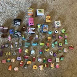 Shopkins & Carrying Case