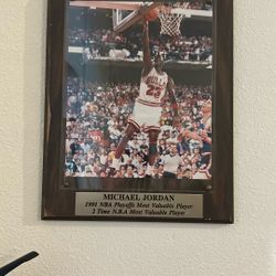 Two Michael Jordan Plaques 